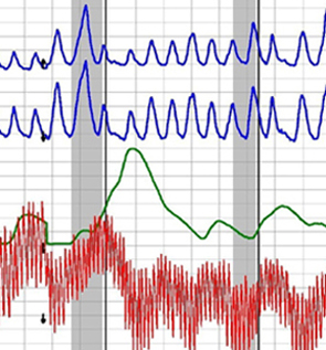 NYC polygraph testing